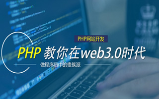  品牌型网络营销,郁南无核黄皮果什么时候上市？